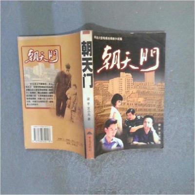 正版新书]朝天门梁平、艾小元 著9787536652118