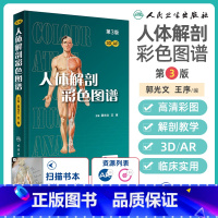 奈特人体解剖彩色图谱 第8版 [正版]人体解剖彩色学图谱 第三3版新版郭光文3D 奈特医用医学生解剖书外科全彩局部系统实
