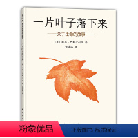 一片叶子落下来 [正版] 一片叶子落下来绘本 关于生命的故事 3-6岁幼儿园儿童图书亲子阅读故事书幼儿启蒙精装硬壳图画书