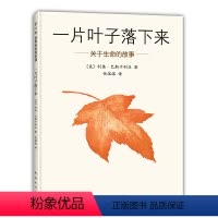 一片叶子落下来 [正版] 一片叶子落下来绘本 关于生命的故事 3-6岁幼儿园儿童图书亲子阅读故事书幼儿启蒙精装硬壳图画书