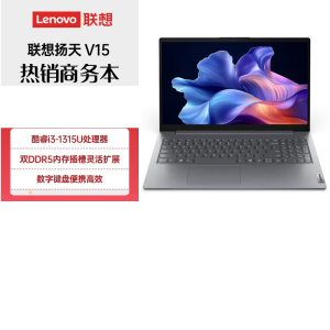 联想(Lenovo)扬天V15 15.6英寸轻薄笔记本电脑 定制(i3-1315U 16G 512G Win11) 灰色 轻薄家用商务办公学习