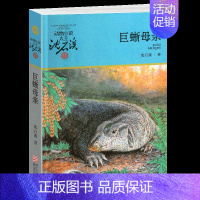 巨蜥母亲 [正版]兵猴传奇沈石溪小学四年级五年级全集全套书浙江少年儿童出版社非注音版完整版动物小说大王品藏书系小学生课外