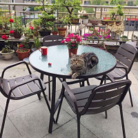 户外桌椅组合庭院花园休闲阳台小茶几奶茶店室外三五件套铁艺桌椅