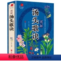 [正版]彩图加厚版汤头歌诀 彩色图解 中医书籍养生大全入门 中药书处方配方药方选录常用方剂民间家庭偏方秘方大全中医养生