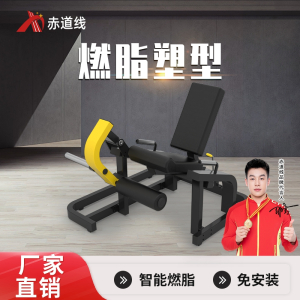 赤道线 大腿伸展训练器健身综合训练器 不含哑铃片CDX-A523S-BFT1018