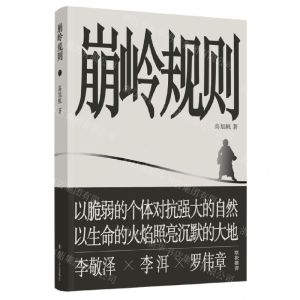 [N]崩岭规则-9787541165382