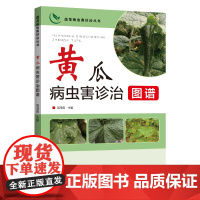 黄瓜病虫害诊治图谱
