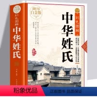 [正版]中华姓氏精装中国传统文化经典荟萃全书大全集关于介绍姓氏的起源发展迁徙分布来源百家姓故事历史大典古典文化书籍