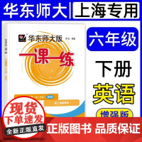 2025春华东师大版一课一练 英语N版增强版 六年级下/6年级第二学期 上海版配套教辅课后作业单元辅导练习含答案华东师范