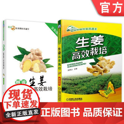 套装 正版 生姜栽培种植技术 共2本 生姜高效栽培+图说生姜高效栽培 全彩版 轮作间作 套种技巧