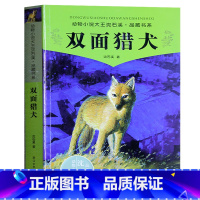 [正版] 双面猎犬 沈石溪 动物小说大王品藏书系 中国少儿读物儿童文学书籍11-12-13-14-15岁 儿童中小学生课