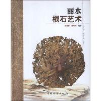 正版新书]丽水根石艺术孙伟祥9787503868115