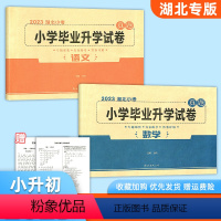 语文+数学 小学升初中 [正版]2023湖北专版小学毕业升学试卷语文数学真题卷 湖北小考小升初必刷卷六6年级小升初升学必