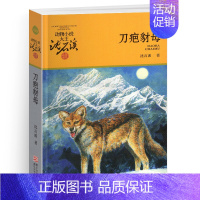 刀疤豺母 [正版]白天鹅红珊瑚沈石溪小学四年级五年级全集全套书浙江少年儿童出版社非注音版完整版动物小说大王品藏书系课外阅