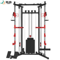 韦步小飞鸟龙门架综合训练器家用室内家庭多功能健身器材卧推深蹲架豪华款+2.2米杠铃杆+100KG杠铃片