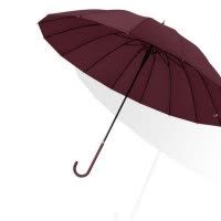 统狮长柄雨伞Y25 把