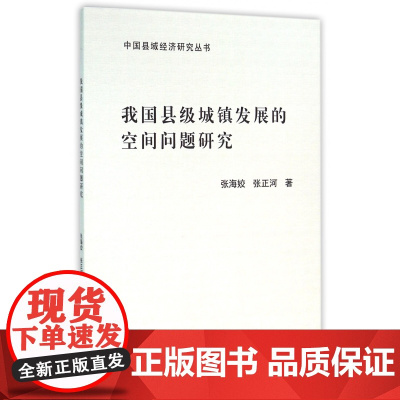 我国县级城镇发展的空间问题研究/中国县域经济研究丛书