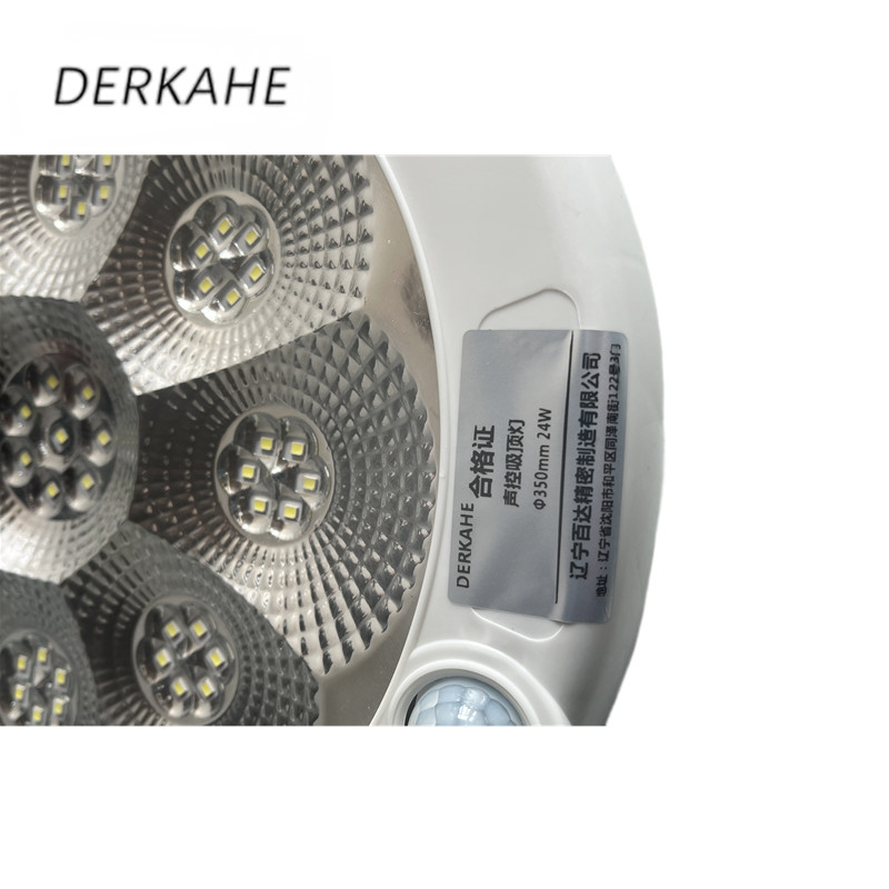 DERKAHE 声控吸顶灯 Φ350mm 24W 个