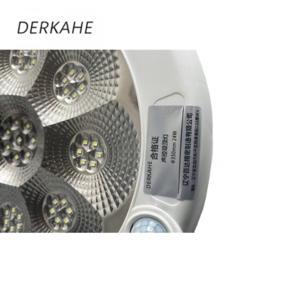 DERKAHE 声控吸顶灯 Φ350mm 24W 个