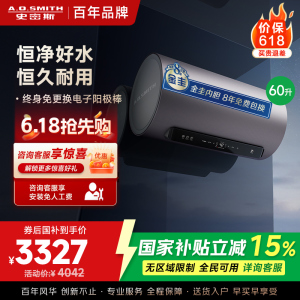 AO史密斯60升电热水器 国家补贴 金圭内胆 双棒分离速热 免换镁棒 免清洗 E60ED8