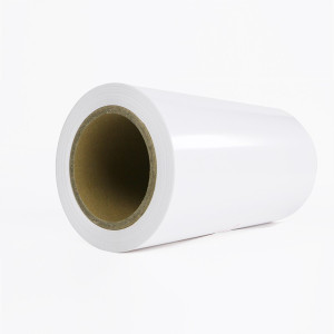 SCSANTU ST5016VPG 标签 50mm*16m