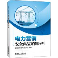 电力营销安全典型案例分析