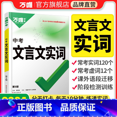 初中必考文学文化常识 初中通用 [正版]初中文言文实词虚词专项训练阅读理解全解七八九年级初一初二初三资料书2024万维语