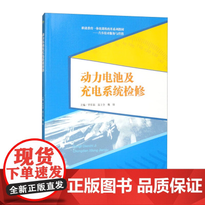动力电池及充电系统检修
