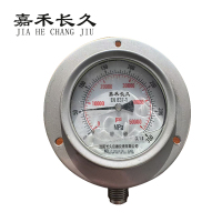 嘉禾长久 不锈钢耐震压力表定制检测型 YN100BF 0-350Mpa 块