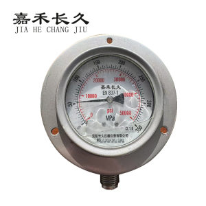 嘉禾长久 不锈钢耐震压力表定制检测型 YN100BF 0-350Mpa 块
