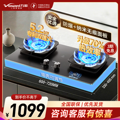 万和(Vanward)[新升级蓝莲花B9S PRO]5.2kW猛火燃气灶嵌入式家用煤气双炉灶具新国标一级能效 天然气