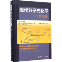 [M]现代分子光化学反应篇-9787122217844