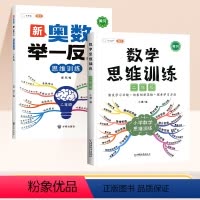 [全面拓展]数学思维+举一反三 小学二年级 [正版]二年级数学思维训练奥数举一反三上册小学奥数创新思维启蒙竞赛拓展题全国
