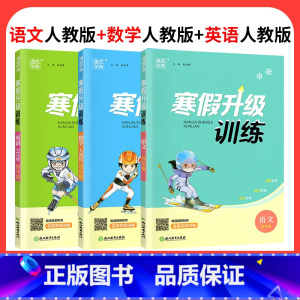 ❤❤❤[3本]语文+数学+英语人教版 小学四年级 [正版]2024寒假升级训练一二三年级四年级五年级六年级上册下册语文数