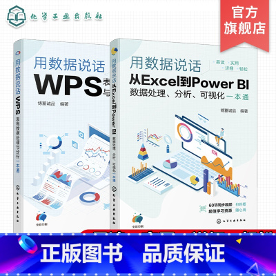 用数据说话 2册 [正版]2册 用数据说话 从Excel到Power BI数据处理 分析 可视化一本通 用数据说话 WP