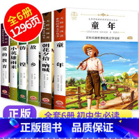 [正版]六年级上册必读课外书全套 童年爱的教育小英雄雨来彷徨朝花夕拾呐喊故乡鲁迅的书6上小学语文上学期阅读经典书目