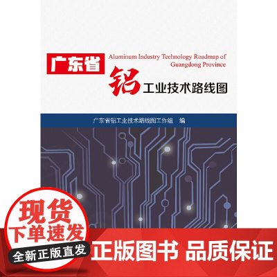 广东省铝工业技术路线图