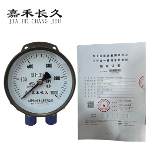 嘉禾长久 双针压力表(带辽宁省级检定证书)YCS100 1.0级 台