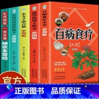 [正版]全5册彩图版百病食疗大全+土单方+小方子+祖传秘方 食谱调理四季家庭营养健康保健饮食养生菜谱食品食补书 百病食疗
