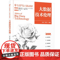 大数据技术伦理 张佐 裴欣著 新一代信息技术人工智能系列丛书 清华大学出版社