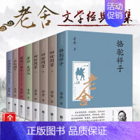 老舍文学经典全集8册 [正版]沈从文著作集 全13册 边城湘行散记长河沈从文自传全集初高中学生课外阅读书经典文学随笔散文