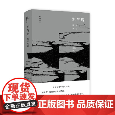 极度文丛 泥与焰:南方笔记