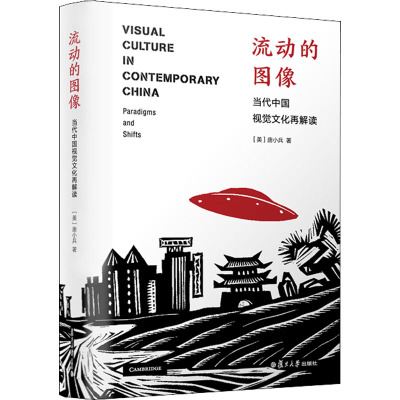 流动的图像 当代中国视觉文化再解读