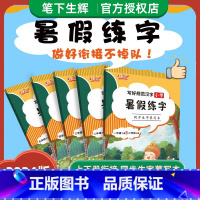 暑假练字 同步生字摹写本 二升三 [正版]2024秋笔下生辉写好规范汉字小学语文字帖暑假练字同步生字摹写本一二三四五六年
