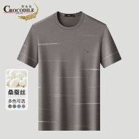 鳄鱼恤CROCODILE 夏季条纹撞色气质中青年男士短袖T恤