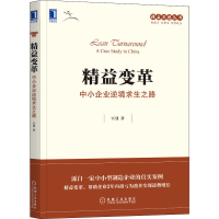 音像精益变革 中小企业逆境求生之路刘健