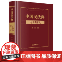 正版 中国民法典 总则编释论 杨震 主编 法律出版社 9787519767631