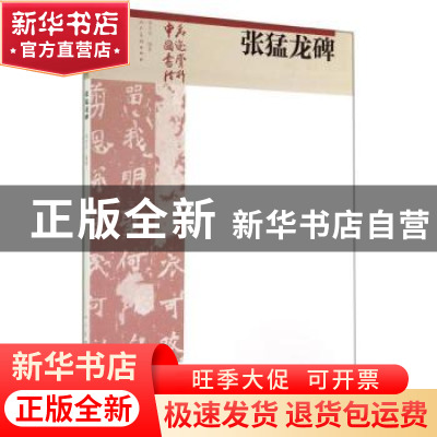 正版 张猛龙碑 李天天编著 人民美术出版社 9787102069487 书籍