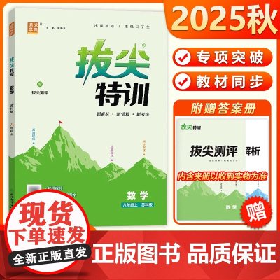 2025秋通成学典拔尖特训同步教材数学八年级上册苏科版专项训练8年级上SK数学同步提优刷题高分提优题库中学生教