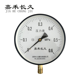 嘉禾长久 压力表检测型 Y200 块